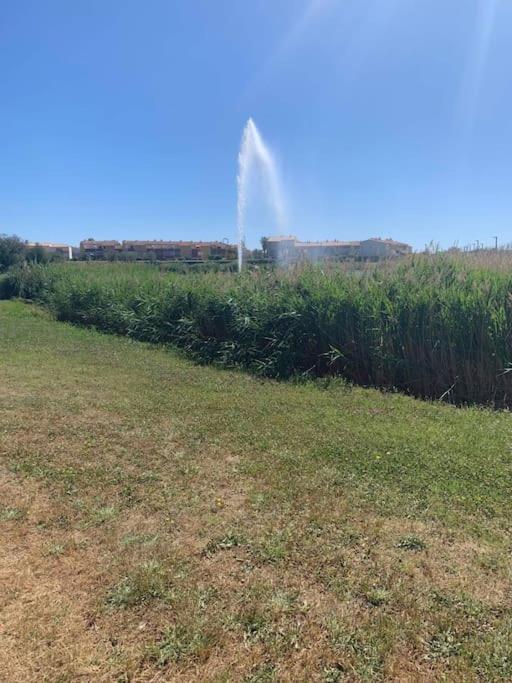 Appartement Le Florid Cap D'Agde, T2 , 4 Pers, 200M Plage, Terrasse Dış mekan fotoğraf
